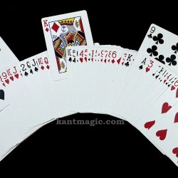 3 Way R&S Forcing Deck (Genuine Bicycle)