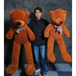 Teddy Bear Appearance MS Magic