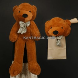 Teddy Bear Appearance MS Magic