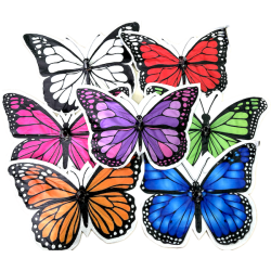 BUTTERFLY PRODUCTION