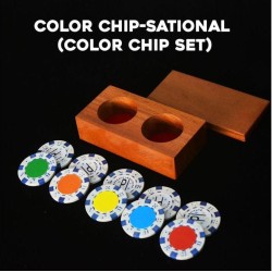 COLOR CHIP MYSTERY
