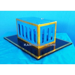 CAGE VANISH