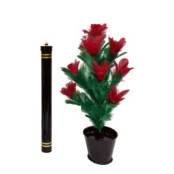 COLOR CHANGING CANDLE TO FLOWER