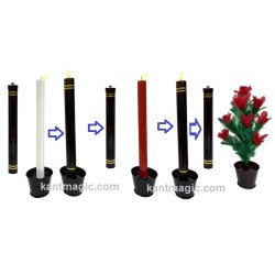 COLOR CHANGING CANDLE TO FLOWER