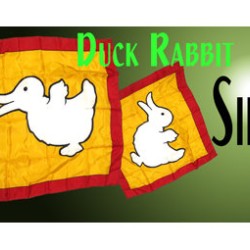 DUCK TO RABBIT SILK