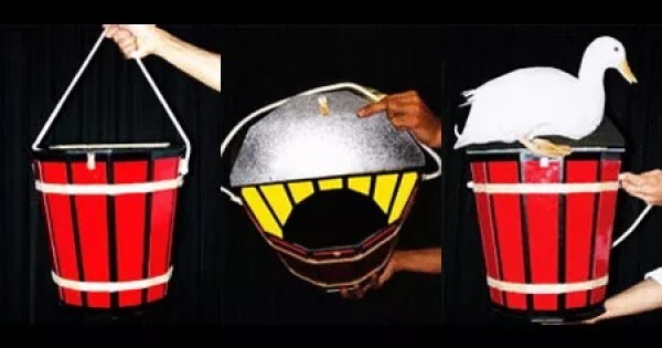 Duck Bucket - KM0993