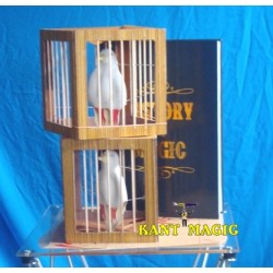 FIRE BOOK AND DOVE CAGES