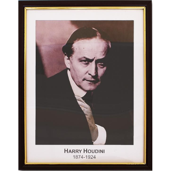 Houdini Prediction Frame Houdini Prediction Frame