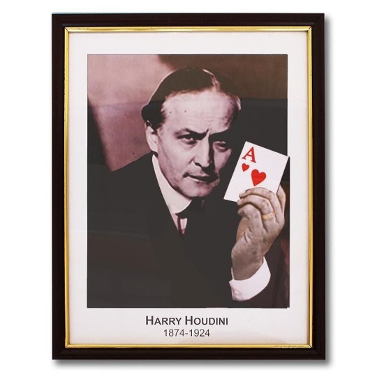 Houdini Prediction Frame Houdini Prediction Frame