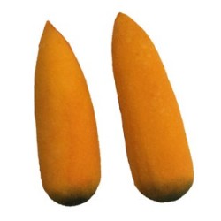 Multiplying Carrot – Sponge