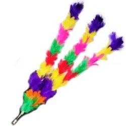 PLUMES FOR VANISHING CANE