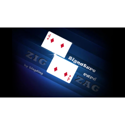 Signature Card Zig Zag by Dingding video DOWNLOAD