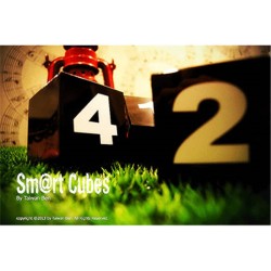 SMART CUBES (LARGE) - SUPER