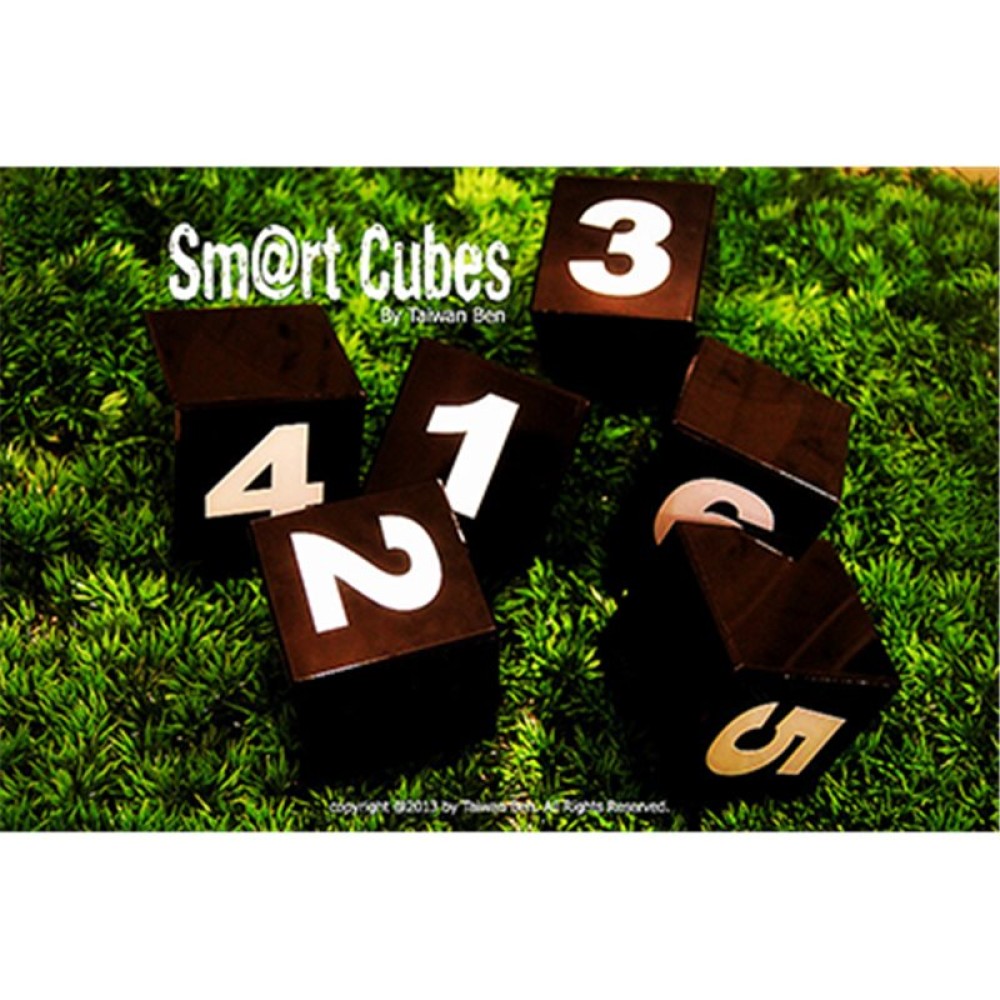 SMART CUBES (LARGE) BY TAIWAN BEN MAGIC - KM0480