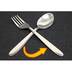 Spoon To Fork