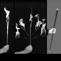 TORCH OF FIRE TO FIVE TO CANE