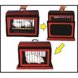 Transformation of Dove Cage into Rabbit Cage