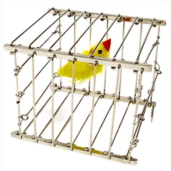 VANISHING BIRD CAGE