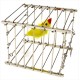 VANISHING BIRD CAGE