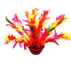 Wand To Bouquet Feather