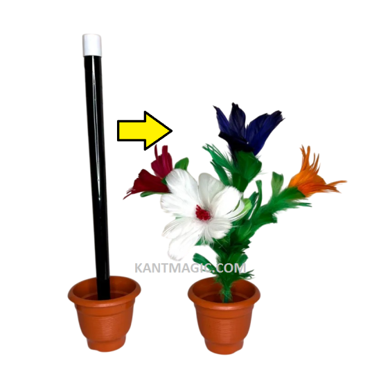 Wand To Bouquet # 4 (Goose Feather)