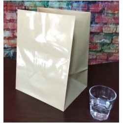 Water & Paper Bag